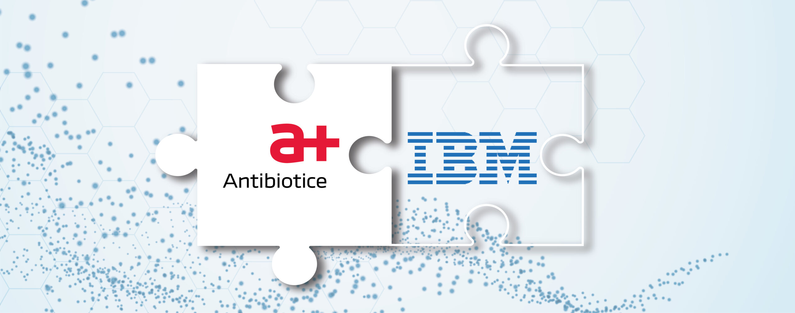 Antibiotice Iași și IBM România